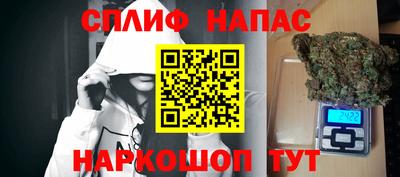 крисы Шебекино