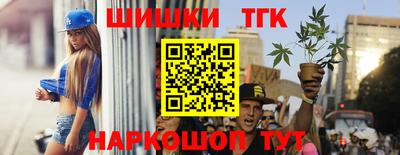 молекула духа Шелехов