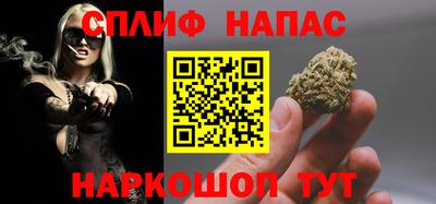 молекула духа Шелехов