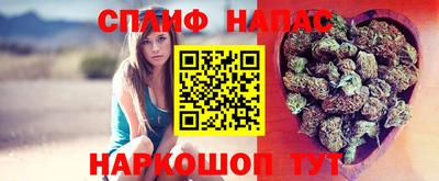 молекула духа Шелехов