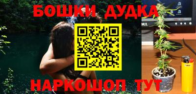 крисы Шебекино