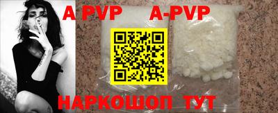 крисы Шебекино