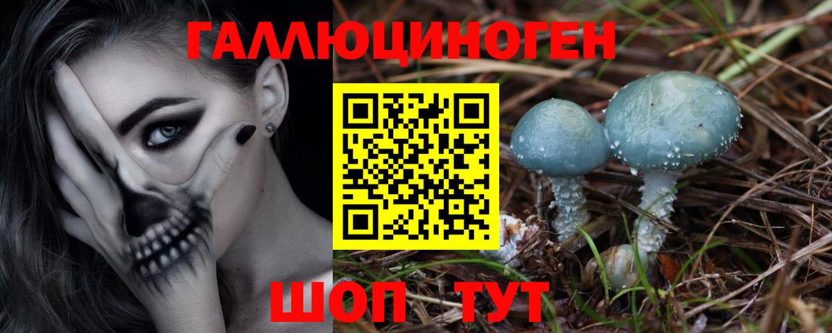 Псилоцибиновые грибы GOLDEN TEACHER  магазин продажи   Вход с VPN  Аша  Псилоцибиновые грибы мицелий 